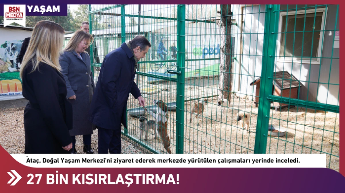 27 Bin kısırlaştırma!