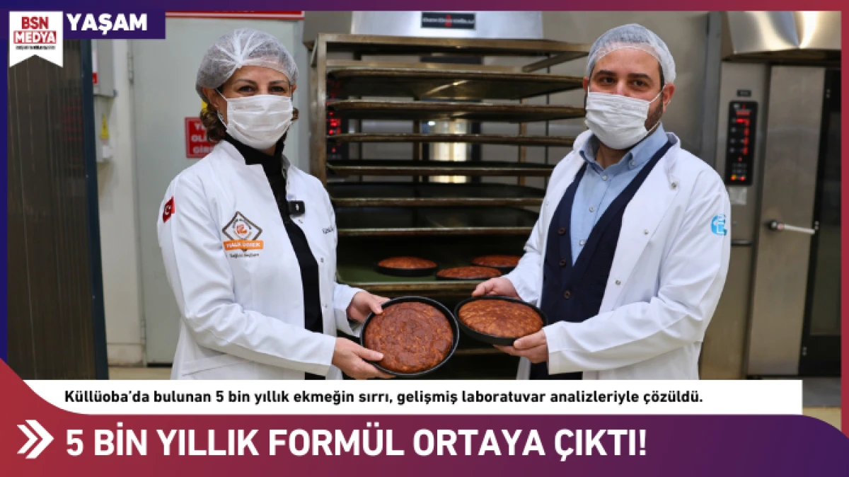 5 bin yıllık ekmeğin form&uuml;l&uuml; ortaya &ccedil;ıktı!