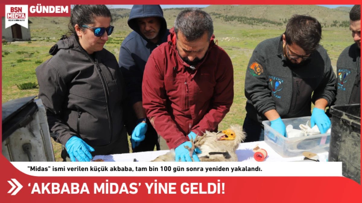 ‘Akbaba Midas’ yine geldi!