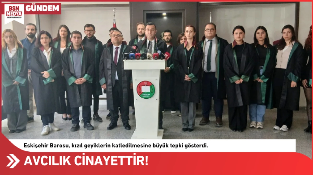 Avcılık cinayettir!