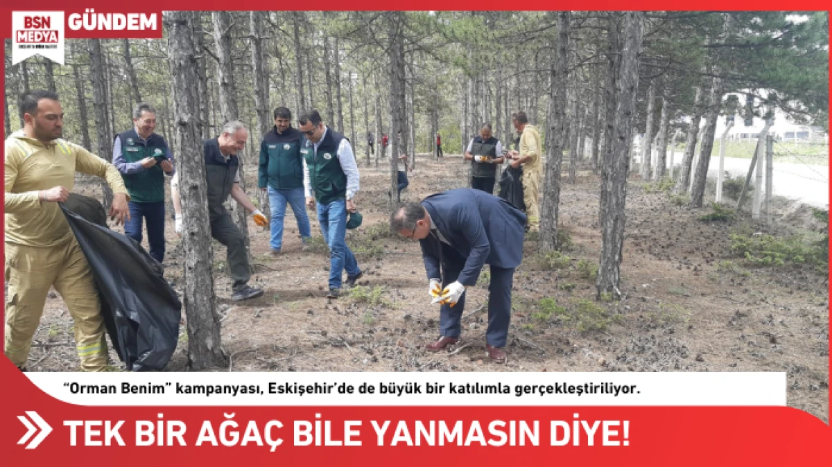 Bir ağaç bile yanmasın diye!