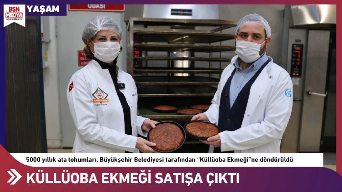 Bu toprakların 5 bin yıllık mayası satışta!