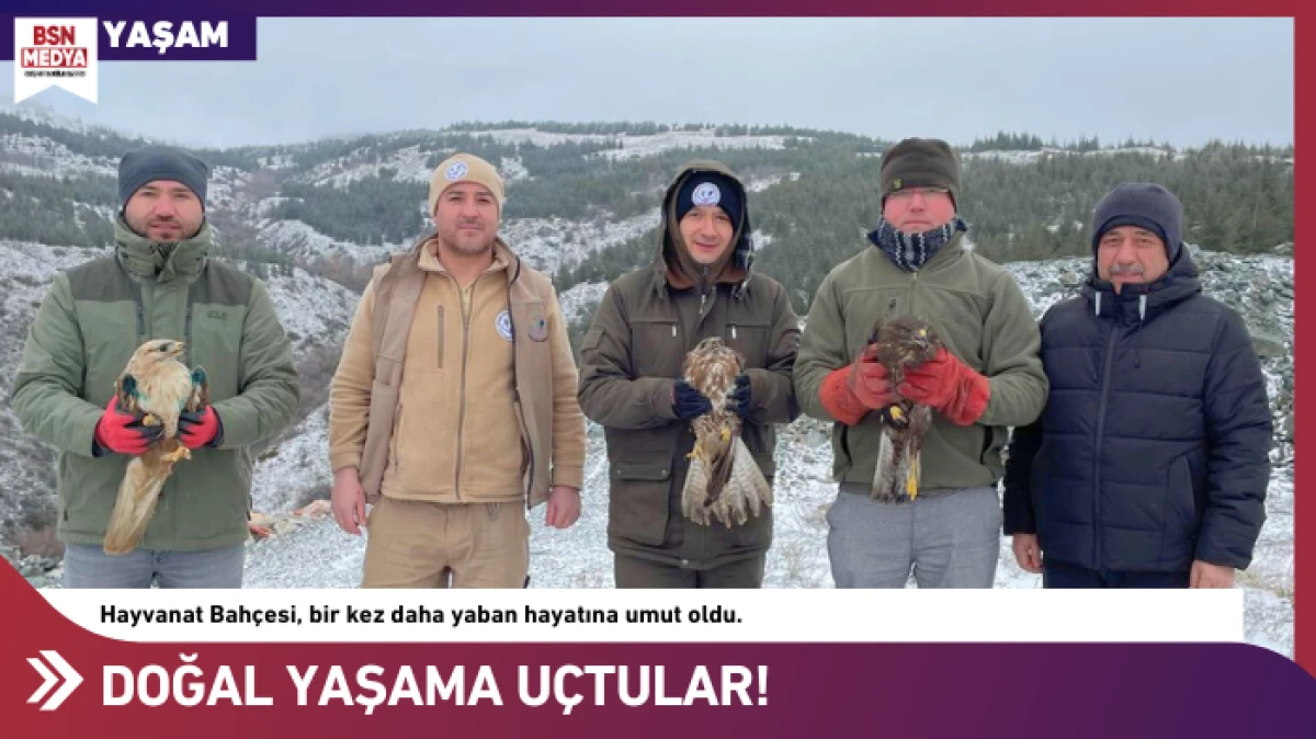 Doğal yaşama u&ccedil;tular!