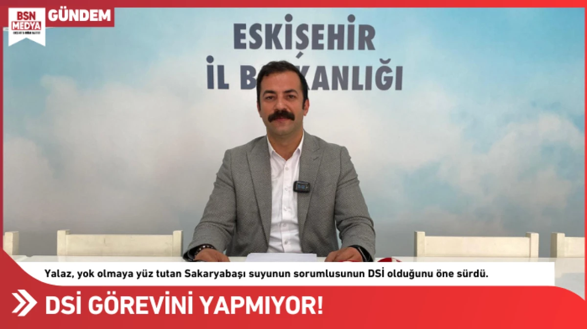DSİ görevini yapmıyor, Sakaryabaşı yok oluyor!