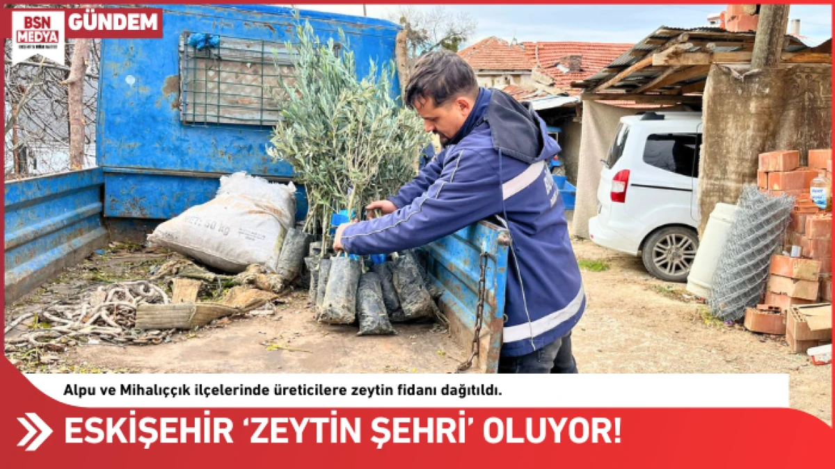 Eskişehir &lsquo;zeytin şehri&rsquo; oluyor!