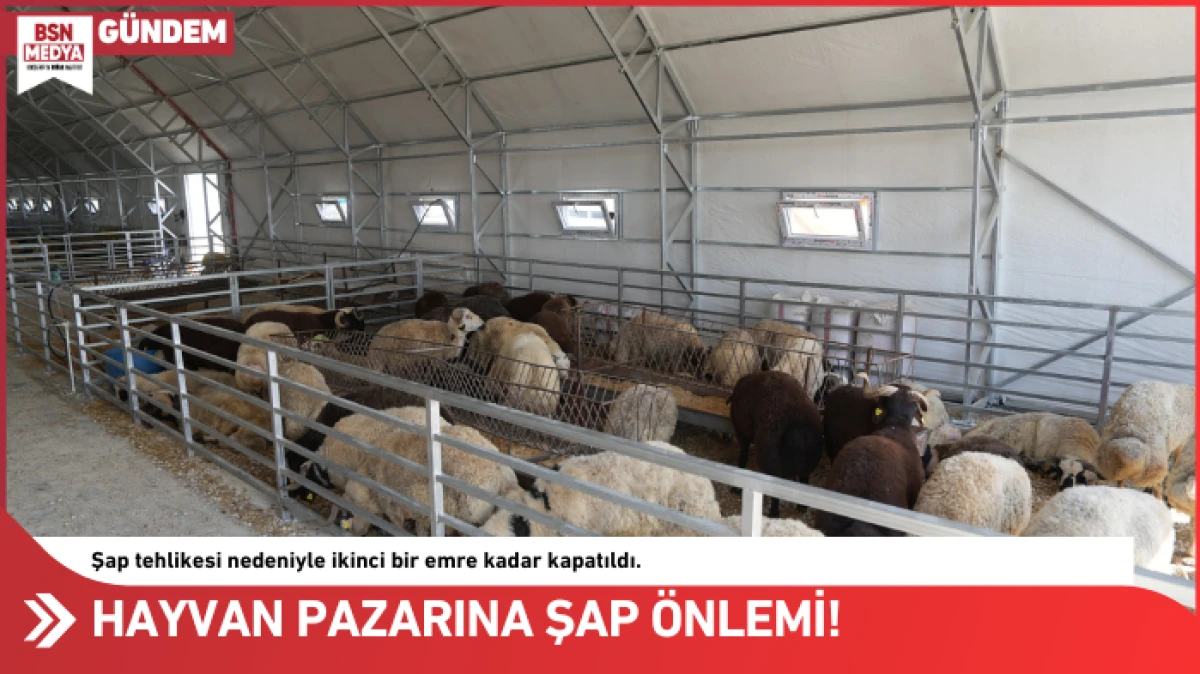 Hayvan Pazarına şap önlemi!