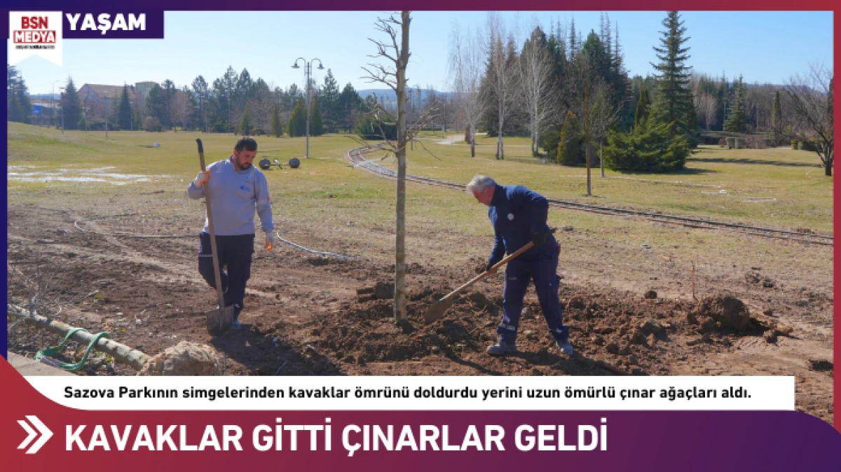 Kavaklar gitti &ccedil;ınarlar geldi
