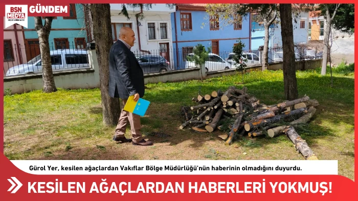 Kesilen ağa&ccedil;lardan haberleri yokmuş!