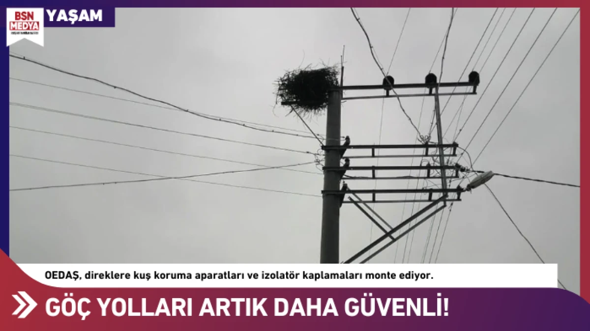 Kuşların göç yolları daha güvenli!