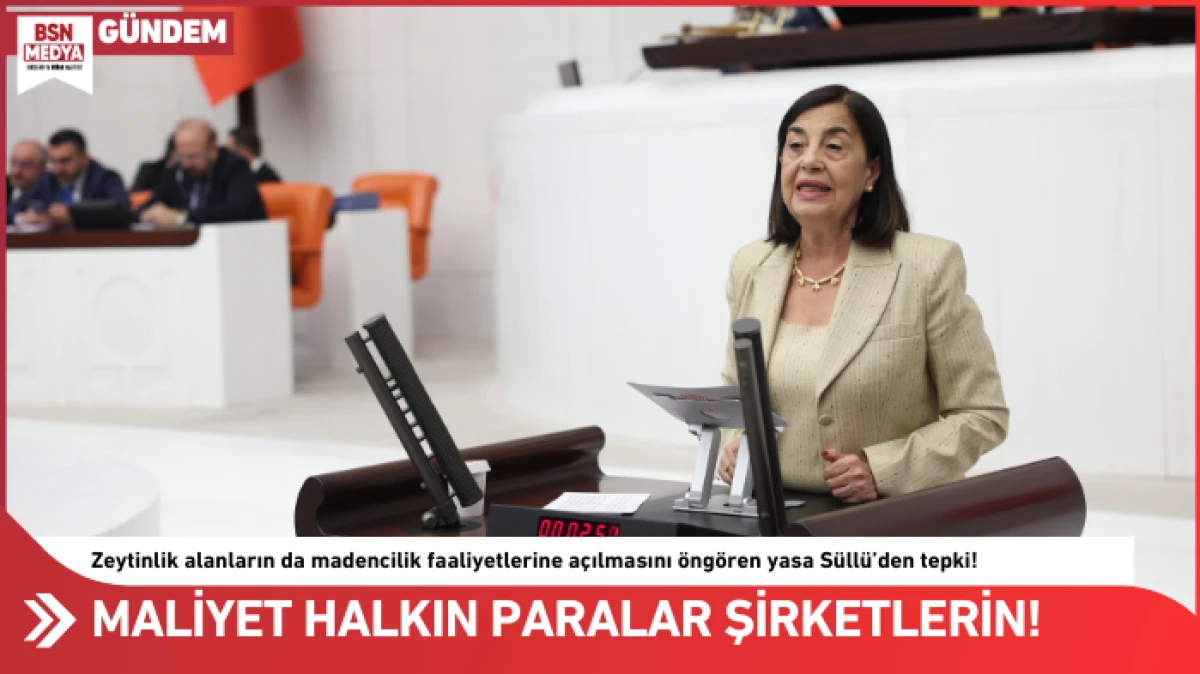 Maliyet halkın paralar şirketlerin!