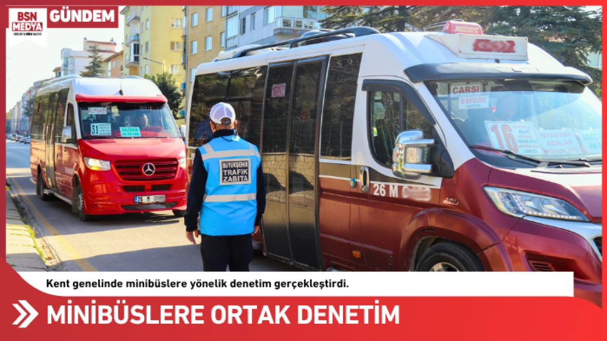 Minib&uuml;slere ortak denetim
