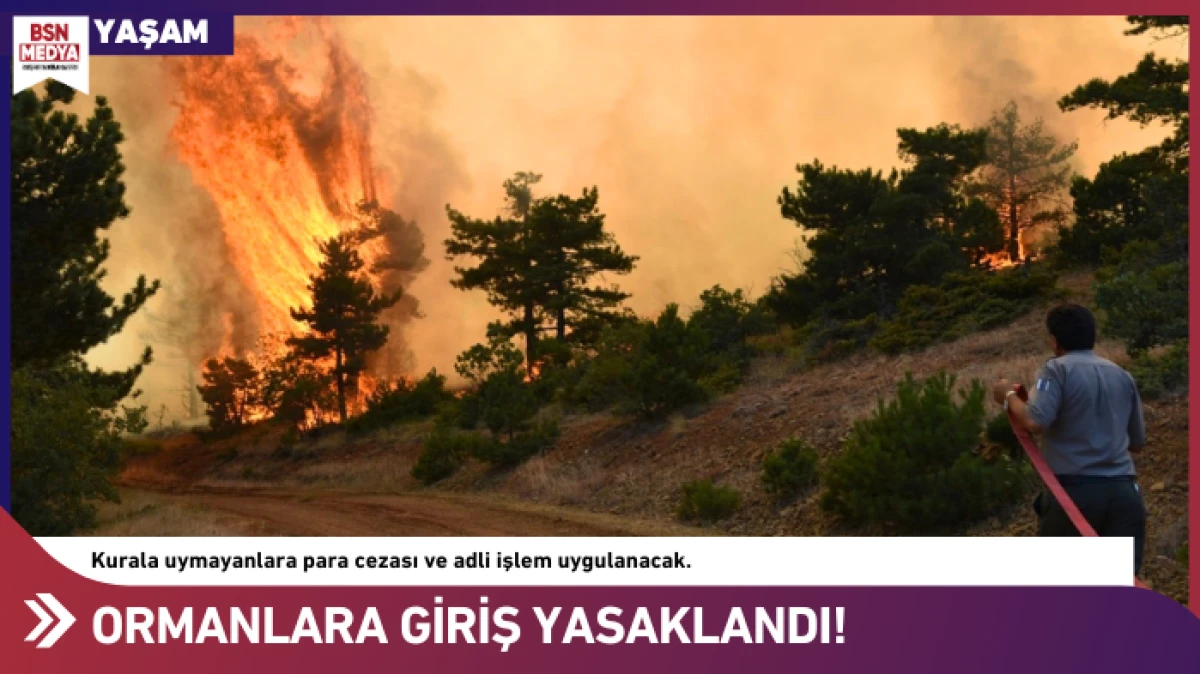 Ormanlara Giriş Yasaklandı!