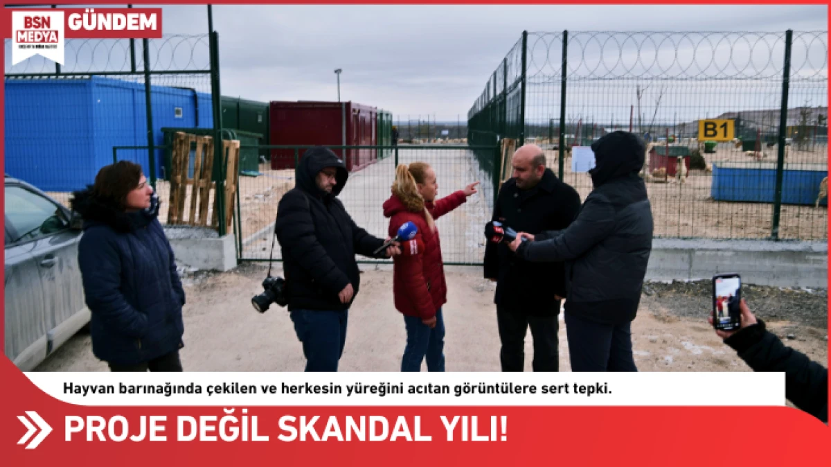 Proje değil skandal yılı!