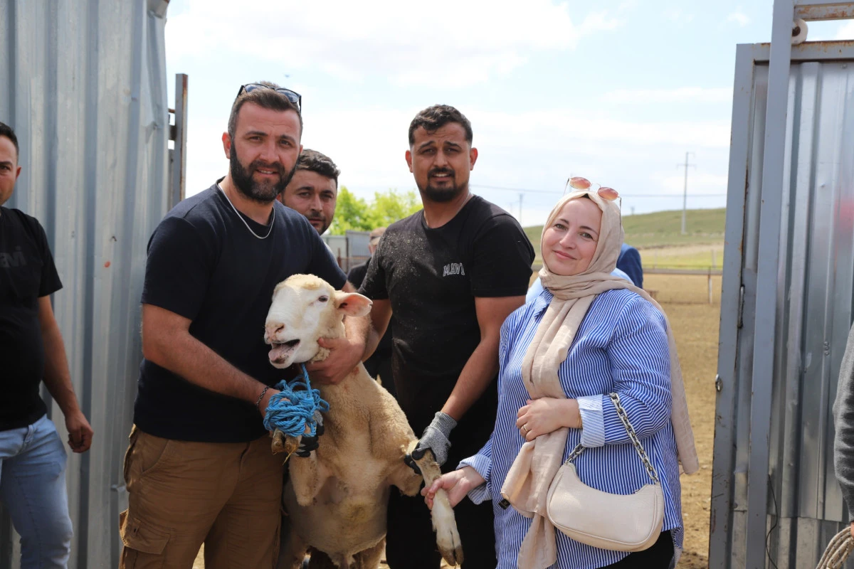 &Uuml;reticilere damızlık ko&ccedil; desteği