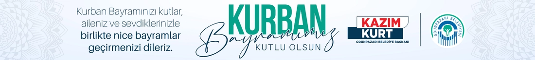 odunpazarı 