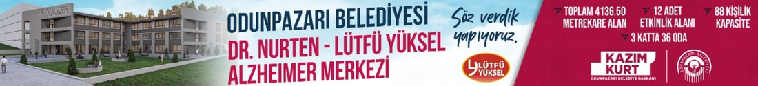 odunpazarı 