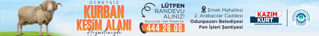 odunpazarı 