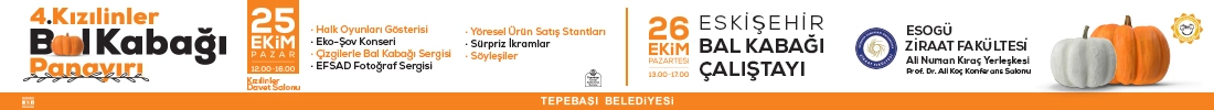 tepebaşı yeni